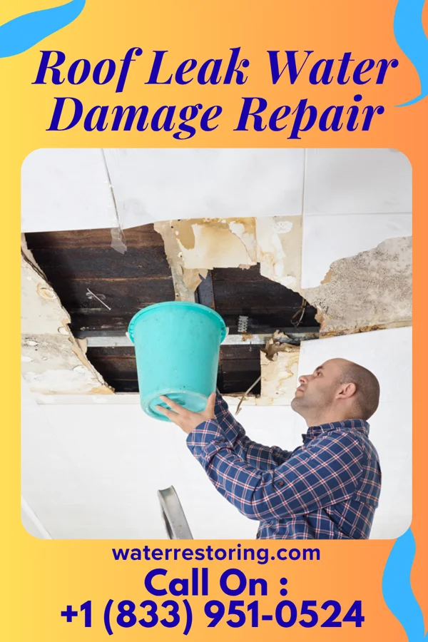 Roof Leak Water Damage Repair in Gardena, ND