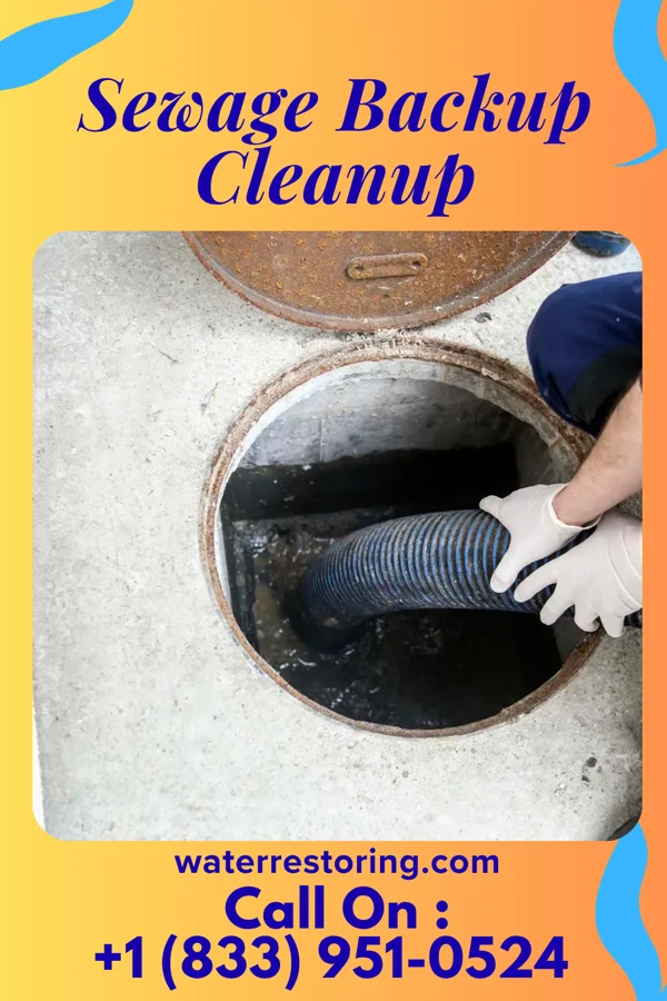 Sewage Backup Cleanup in Gardena, ND